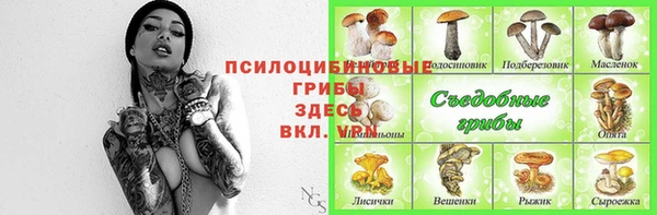 мяу мяу мука Аркадак