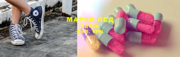 мяу мяу мука Аркадак