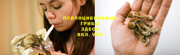 мяу мяу мука Аркадак