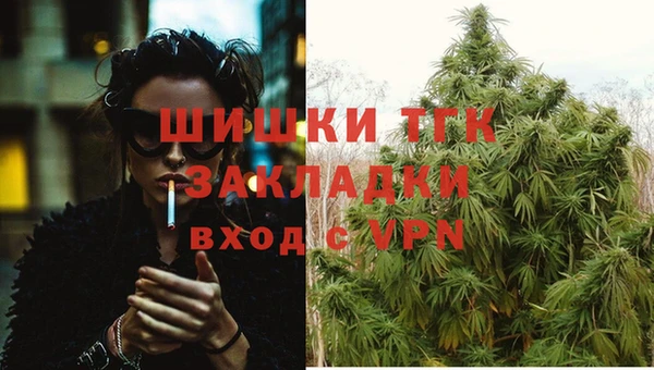 ПСИЛОЦИБИНОВЫЕ ГРИБЫ Армянск
