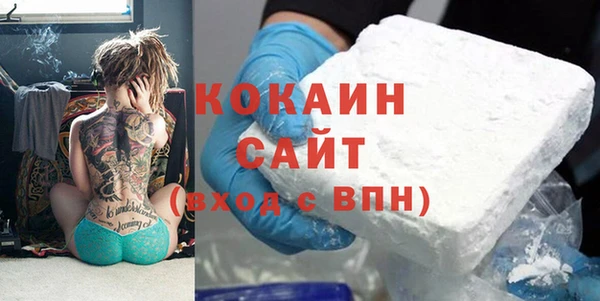 мяу мяу мука Аркадак