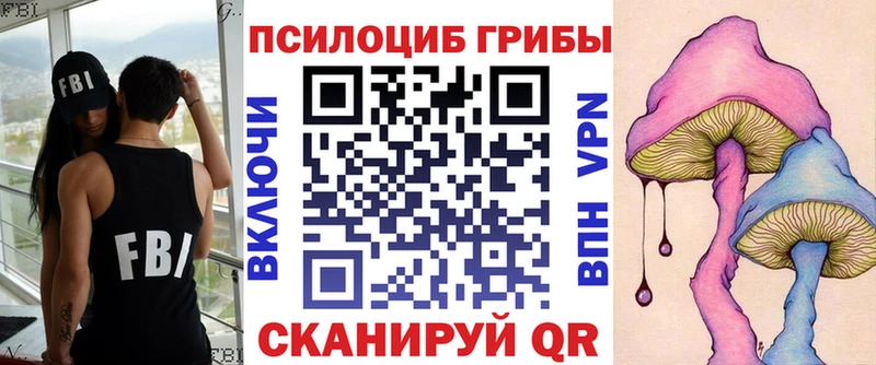 Псилоцибиновые грибы Psilocybine cubensis гидра ссылка Сольцы